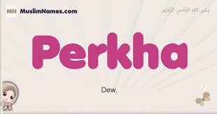 We did not find results for: Perkha Meaning Of The Muslim Baby Name Perkha
