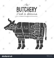 Beef Meat Cuts Diagram Butcher Chart Royalty Free Stock Image