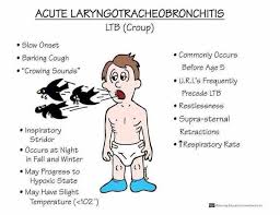 Image result for Croup