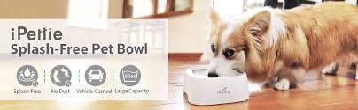 Here are five best spill proof dog bowls and mats that will keep your home clean and your pets happy and hydrated. Ipettie Splash Free Pet Water Bowl 50oz Dog Bowl No Spill No Slip Travel Vehicle Carried Slow Feeder Dispenser For Dogs And Cats