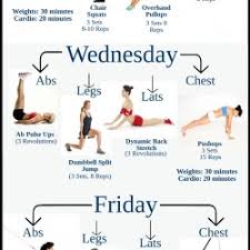 Beginner Gym Workout Plan For Lose Weight Visual Ly