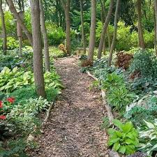 Pinterest Backyard Landscaping Shade Garden Acreage Landscaping