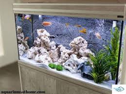 Do fish tanks need a filter? How High Should The Water Level Be In A Fish Tank