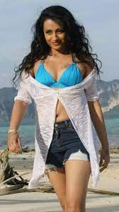 Trisha Krishnan's Mesmerizing Pictures Will Surely Make You Sweat | Times  of India