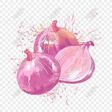 Bawang merah dan putih adalah dua bumbu dasar yang selalu ada di setiap masakan. Cat Air Bawang Gambar Unduh Gratis Imej 401605949 Format Psd My Lovepik Com