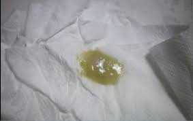 Beberapa jenis ikan air payau beserta gambarnya. 9 Jenis Keputihan Dan Artinya Bagi Kesehatan Anda Theasianparent Indonesia