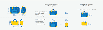 You have purchased 2 or more tickets from different airlines that have dissimilar. Uia Changed The Rules For Hand Baggage Now You Will Have To Pay Extra For A Laptop Ain Ua