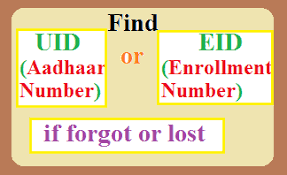 The data is given to the unique identification authority of india (uidai) uidai.gov.in, a statuary authority (crafted by an act of parliament). Free Online Seva How To Get Aadhar Card Number Or Enroment Number If Forgot Or Lost