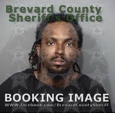 David Hasselman's Instagram, Twitter & Facebook