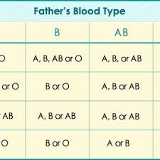 What blood type will your baby have make sure to check out this blood type calculator. Pdf Blood Group And Genotype Compatibility