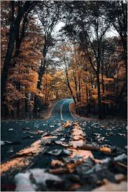 تؤثر طبيعة كل من الطبقة العليا و السفلى للتربة في عملية ري الخضراوات ، كذلك تختلف المحاصيل التي تنمو في التربة عالية الرطوبة عن التربة منخفضة الرطوبة ، فعلى سبيل المثال يتم زراعة الكرنب و الفلفل في التربة. ØµÙˆØ± Ø·Ø¨ÙŠØ¹ÙŠØ© Ø£Ø¬Ù…Ù„ ØµÙˆØ± Ù…Ù† Ø§Ù„Ø·Ø¨ÙŠØ¹Ø© Ø®Ù„ÙÙŠØ§Øª Ù…Ù†Ø§Ø¸Ø± Ø·Ø¨ÙŠØ¹ÙŠØ© Ø®Ù„Ø§Ø¨Ø© Ù…ÙˆÙ‚Ø¹ Ø­ØµØ±Ù‰