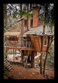 Ttt Tree House Cool Tree Houses Tree House Designs