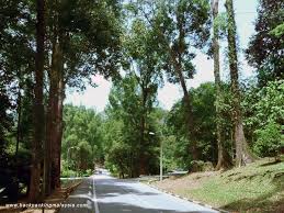 #5 of 47 things to do in petaling jaya. Frim Forest Research Institute Malaysia Mapio Net