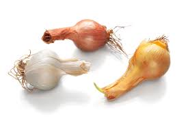 There are other ways to change the genomes of crops, some of which are long established, such as mutational breeding, and others of. Are Genetically Modified Crops The Answer To World Hunger National Geographic Society