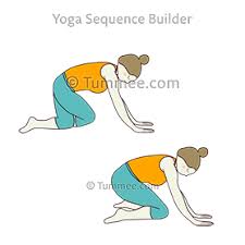 Check spelling or type a new query. Prenatal Cow Pose Variation Yoga Prenatal Bitilasana Variation Yoga Sequences Benefits Variations And Sanskrit Pronunciation Tummee Com