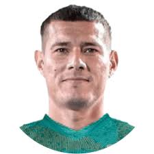 Estadísticas de Denis Pinto en Real Tomayapo