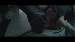 Avicii arena becomes a symbol and meeting place for an initiative focus. Yarn In The Road Of Life Avicii For A Better Day Video Clips By Quotes 29d5249f ç´—