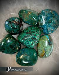 Image result for Chrysochloa