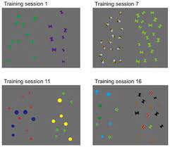 Julia sessions 24 set star. Frontiers Effects Of Visual Training Of Approximate Number Sense On Auditory Number Sense And School Math Ability Psychology