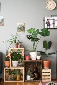 Y además, son sumamente decorativas y nos ayudan a relajarnos. Ideas Para Decorar Tu Casa Con Plantas Decoracion Interiores