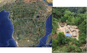 Image result for Landolphia bruneelii