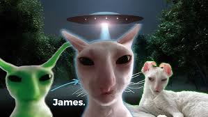 James the cat full story (the Alien Cat)