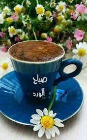 في الصباح هناك سعادات مخباة في دفء الشمس وفي كوب قهوة وفي ابتسامة عابره أو كلمة حل Good Morning Coffee Good Morning Arabic Good Morning Greetings