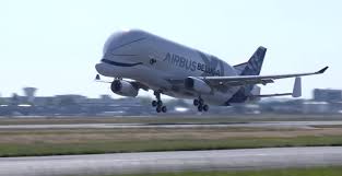 Airbus et boeing possèdent tous les deux leur mastodonte, le beluga en europe, le dreamlifter de l'autre côté de l'atlantique. Airbus Beluga Xl Takes To The Skies After Easa Certification