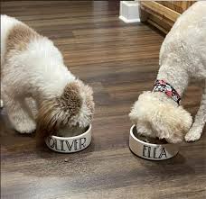 Image result for Oliverella