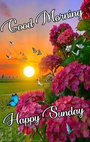 Nice nature good morning happy sunday. Happy Sunday Quotes Facebook Whatsapp Good Morning Quotes Sunday Dogtrainingobedienceschool Com