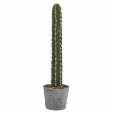 When it does rain, it comes in short bursts. Primrue 32 Cactus Plant In Planter Reviews Wayfair
