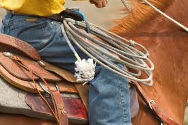 Noun the cowpuncher skillfully tossed the lasso around the calf's neck. Lariat Rope Types What Kind Of Rope Is Used For A Lasso Best Horse Rider