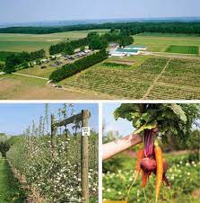 Barrie Hill Farms Cherishing Their History And Supporting Their Future Look Local Barrie Barrie hill farms travelers' reviews, business hours, introduction, open hours. barrie hill farms cherishing their