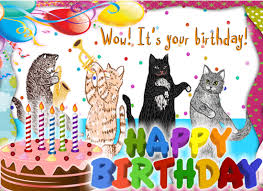 It S Mini S Birthday Today 15th And Raven S On 18th July Gardenfriends Happy Birthday Cat Happy 11th Birthday Cat Birthday Greetings Dream of any man — the beer runs out. happy birthday cat