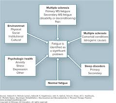 Multiple Sclerosis Case Neurologic Rehabilitation