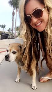 Happy Tails Rowdy Dog Roundup