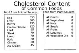 Pain On Your Plate Part Ii Vegetarian Vegan Diet Meat