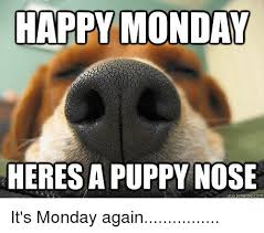 30 Best Memes To Start Monday The Right Way Sayingimages Com Maybe try 17 funny memes to get you through monday , or if you're really suffering here are some monday memes that celebrate the worst day of the welcome to the worst day of the week. 30 best memes to start monday the right