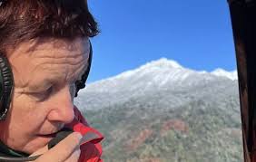 Funding cuts: when good pines could go wild