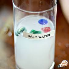 Science experiments for preschoolers preschool science activities science crafts science for kids science projects science fun physical science science classroom earth science. Salt Water Experiment Ocean Science For Kids The Science Kiddo