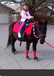 To make it even better, we are fully mobile! Barnyard On Wheels Hampton Virginia Based Ponies For Rent
