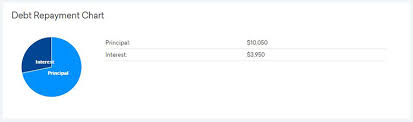 Credit Card Debt Repayment Pie Chart Regular Repayment