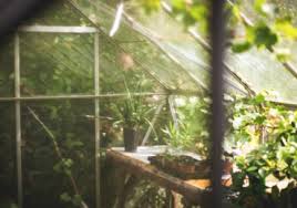 Trimming of all perennials, pruning of small shrubs if needed. Organic Gardening Archives The Plaid Zebra