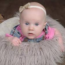 Are you supposed to use iron-on interfacing or sew-in interfacing for a  bear?