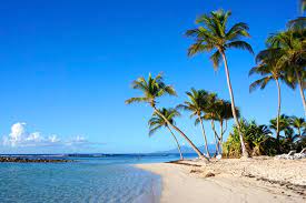 Key information for travelers to guadeloupe. Itinerary 2 Weeks In Guadeloupe Ultimate Guide Bonadvisor
