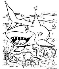 Our free coloring pages for adults and kids, range from star wars to mickey mouse. Sea Shark Coloring Pages To Print Out For Your Kids Shark Coloring Pages Ocean Coloring Pages Animal Coloring Pages