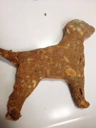 These low calorie dog treats are also free from eggs, nuts, dairy, refined sugars, preservatives and additives. Top 10 Homemade Dog Treat Recipes Pethelpful By Fellow Animal Lovers And Experts