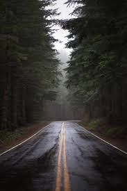 Check spelling or type a new query. Thinking About Autumn Road Trips And Cool Mountain Air Exploresomemore This Is How I See New York Autumn Road Scenery Road Trip Inspiration