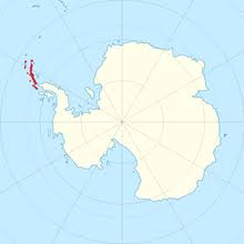 Belgica antarctica is a species of flightless midge endemic to the continent of antarctica. Belgica Antarctica Wikipedia