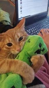 Minecraft Creeper And Enderman Anime Style So Kawaii Minecraft Komik Hayvan Komik Hayvan Fotograflari Cute Kittens
